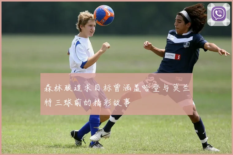 森林狼追求目标曾涵盖哈登与莫兰特三球前的精彩故事