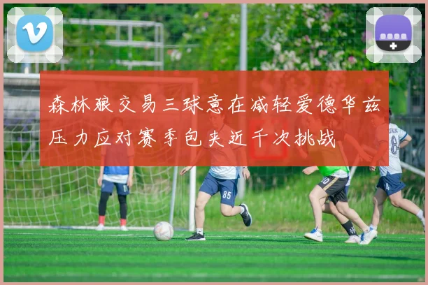 森林狼交易三球意在减轻爱德华兹压力应对赛季包夹近千次挑战